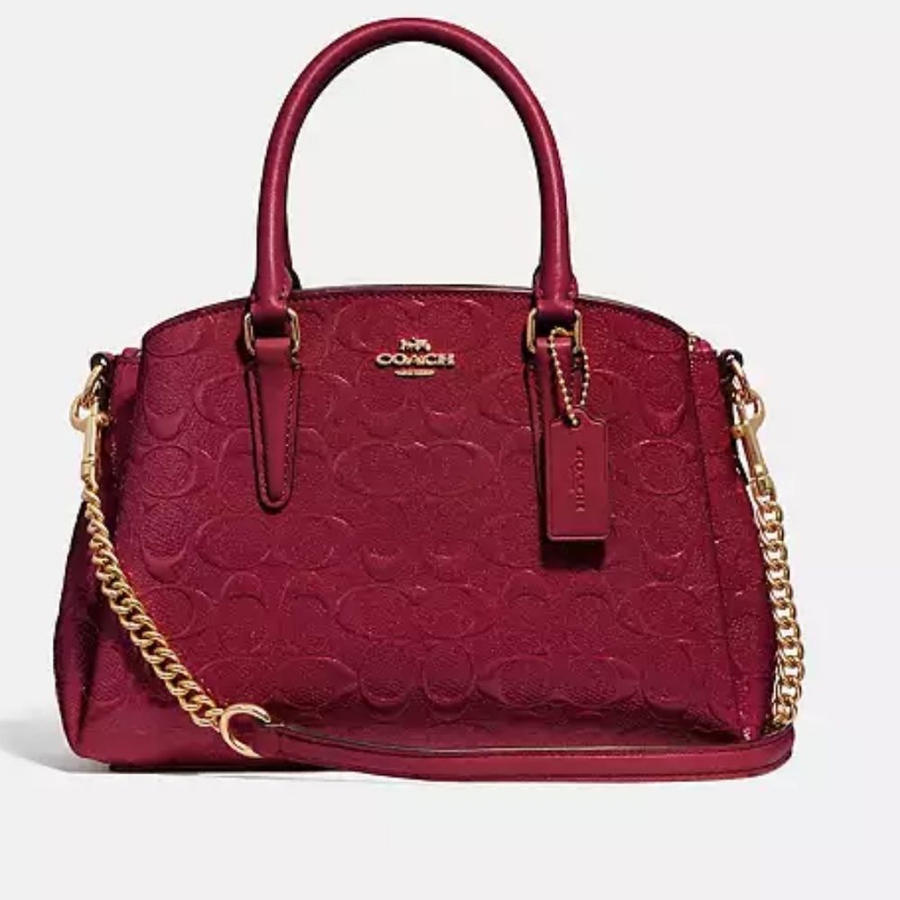 Nwt Coach Cherry Sage Signature Convertible Crossbody Satchel Purse